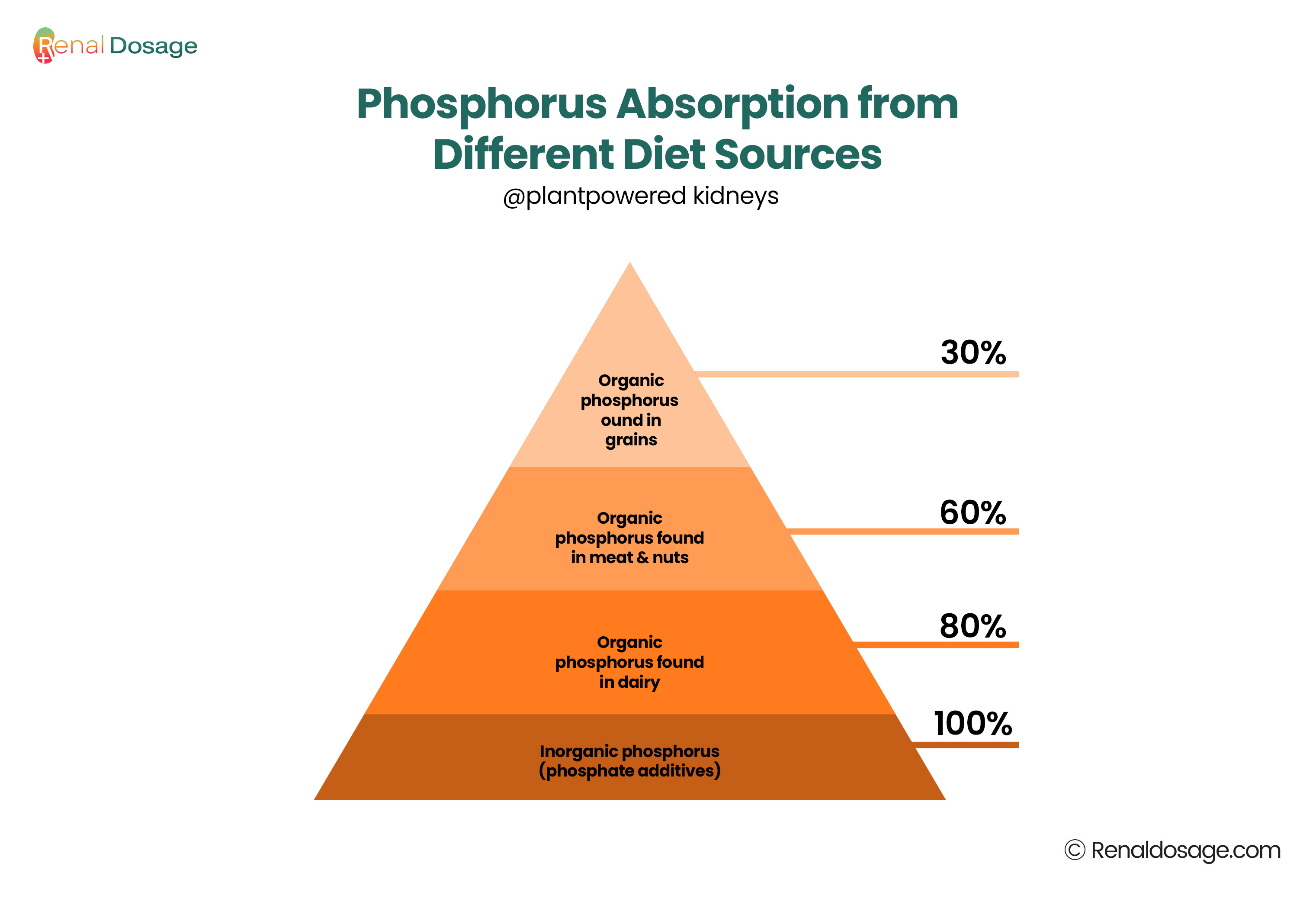 Phosphorus absorption from different diet source 